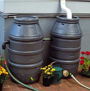 Collecting rainwater now illegal.png