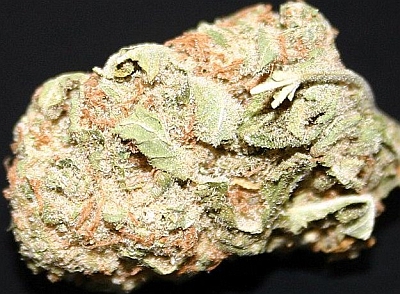 White Widow. When only the best will do..jpg